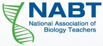 Learn more about NABT Scholarships and Awards for teachers.