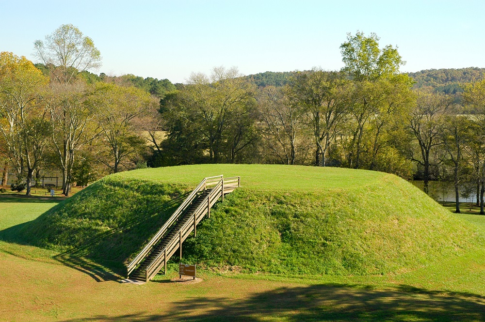 unique field trips near me