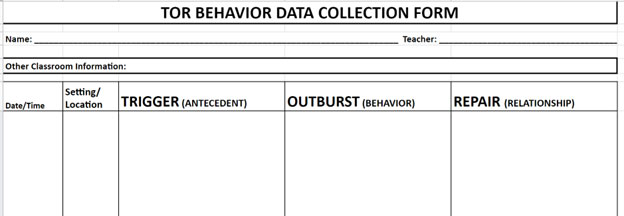 top behavior data collection form